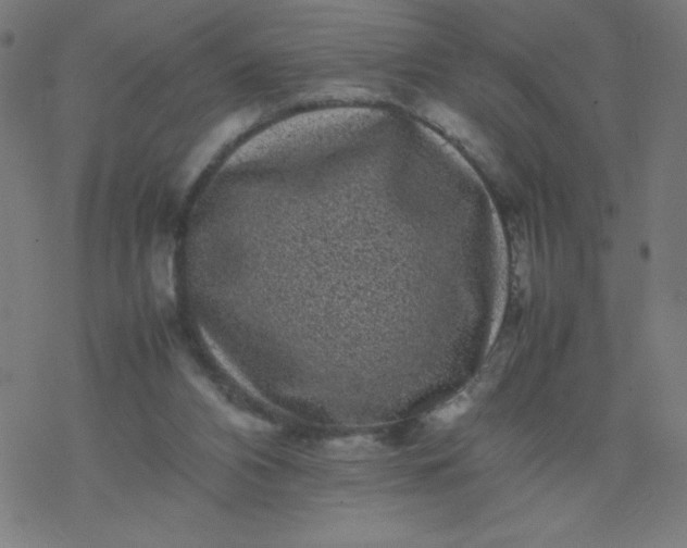 X0000077380112200611031946