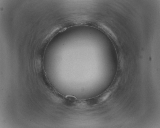 X0000077380113200611031946