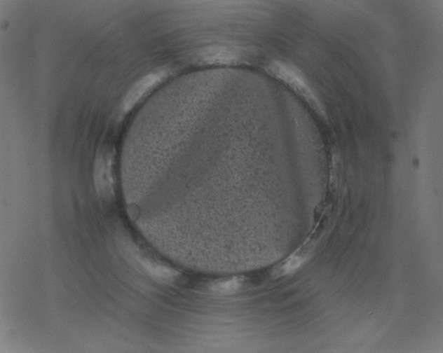 X0000077380116200611031946