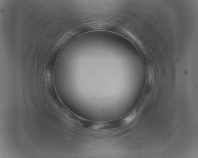 X0000077380117200611031946