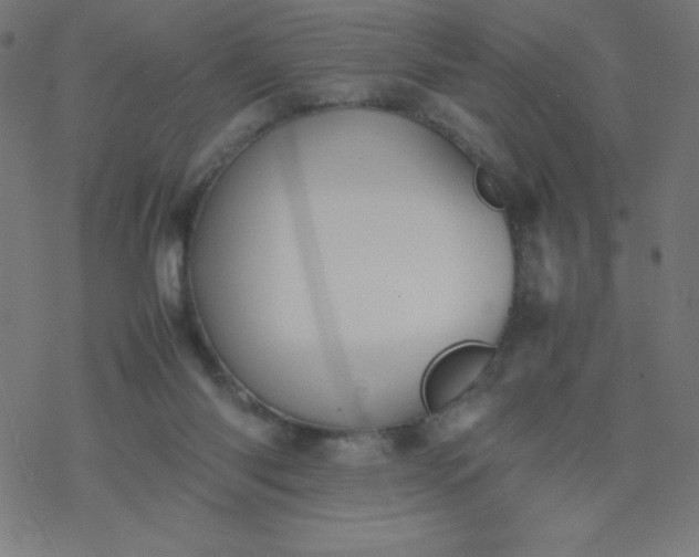 X0000077380118200611031946