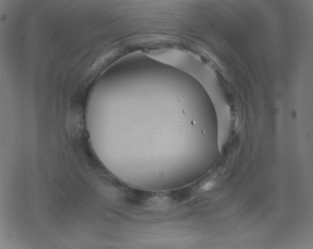 X0000077380119200611031946