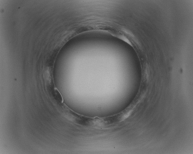 X0000077380121200611031946