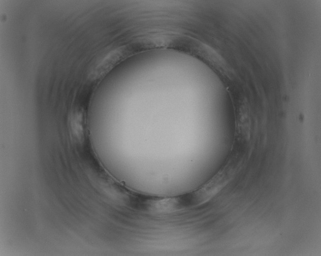 X0000077380122200611031946