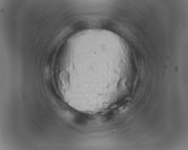 X0000077380123200611031946