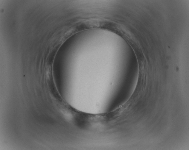 X0000077380125200611031946