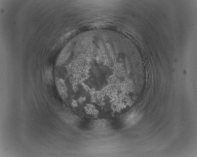 X0000077380127200611031946