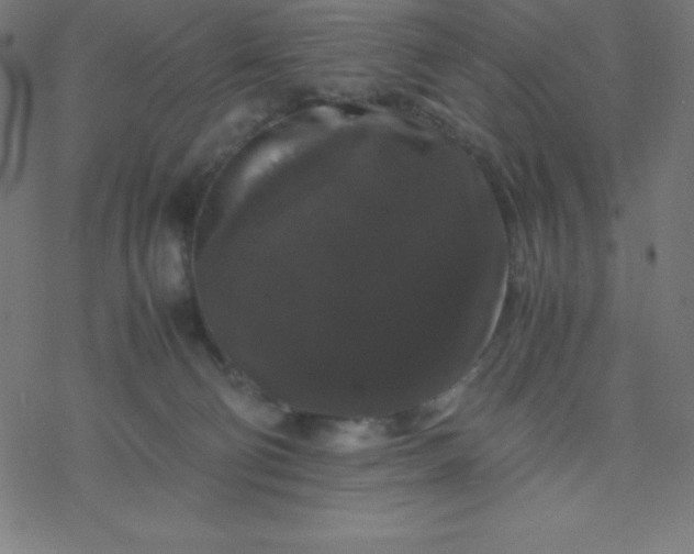 X0000077380130200611031946