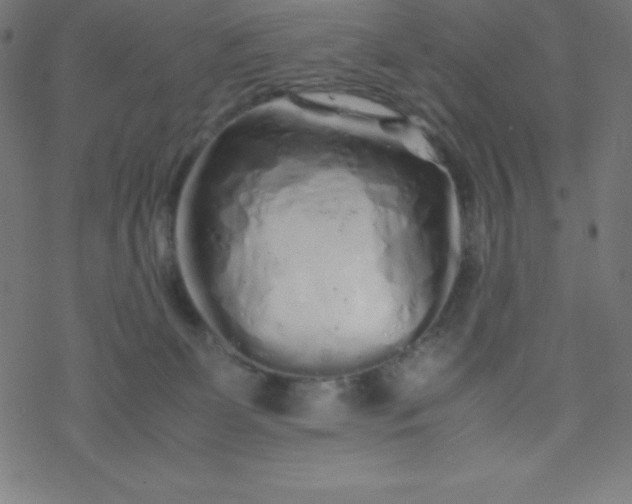 X0000077380131200611031946