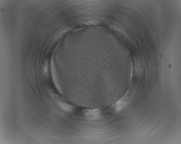 X0000077380132200611031946