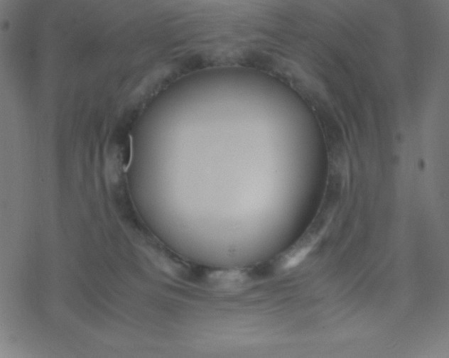 X0000077380133200611031946