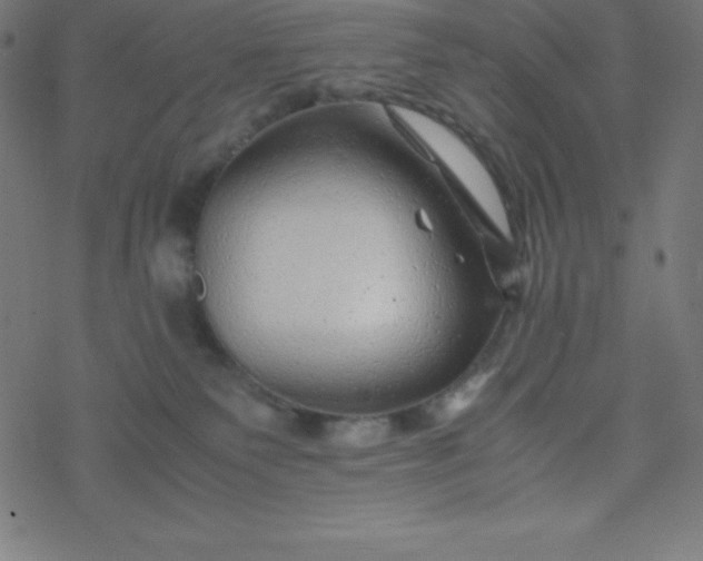 X0000077380135200611031946