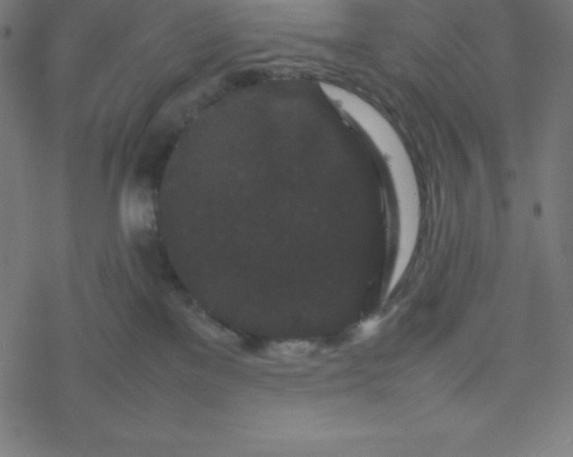 X0000077380137200611031946