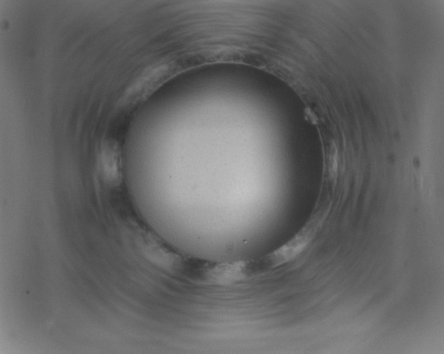 X0000077380138200611031946