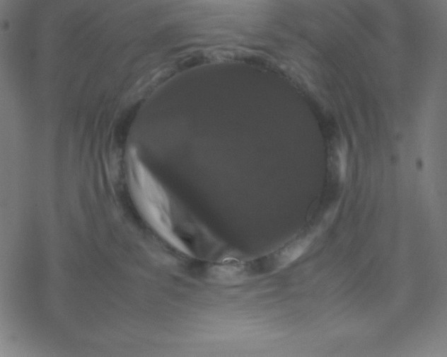 X0000077380139200611031946