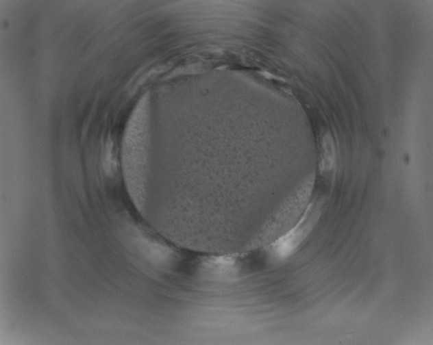 X0000077380140200611031946