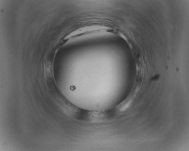 X0000077380141200611031946