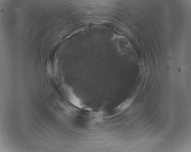 X0000077380143200611031946