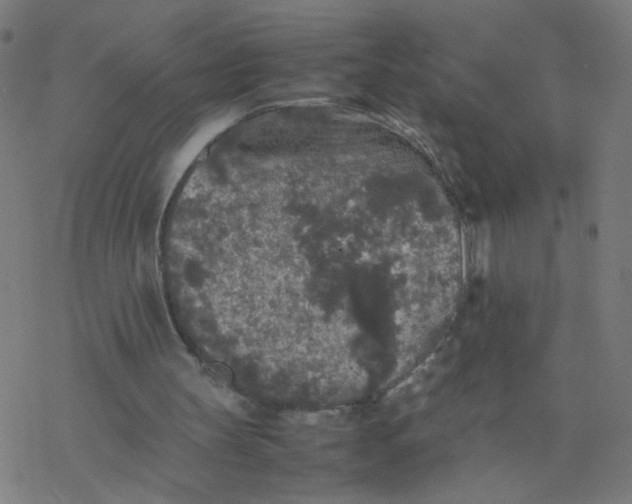 X0000077380147200611031945