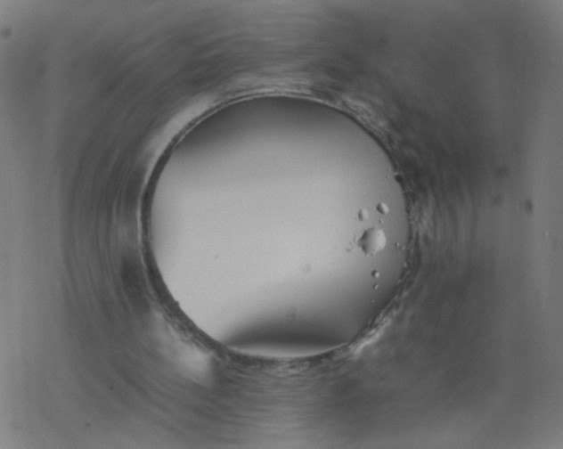 X0000077380148200611031945