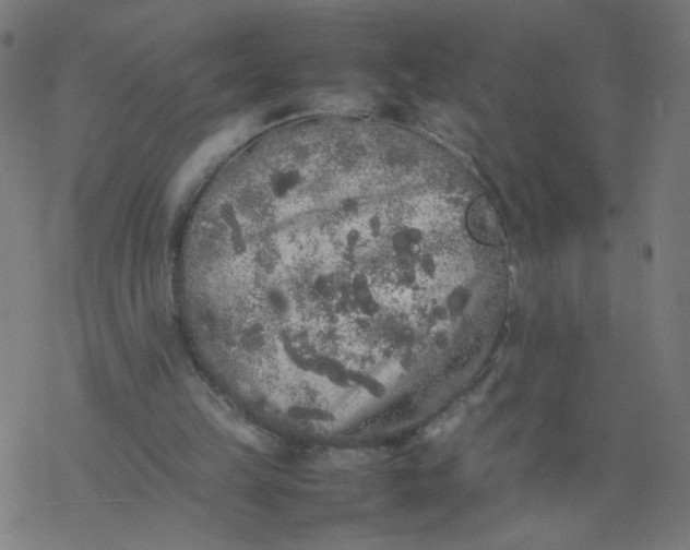 X0000077380149200611031945