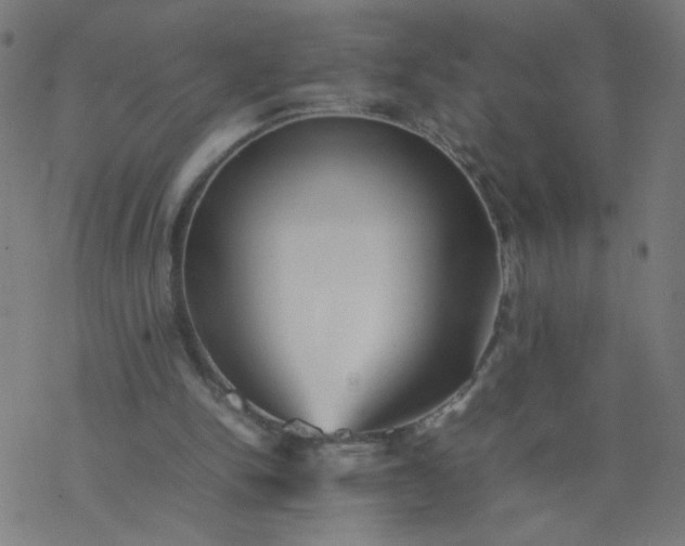 X0000077380150200611031945