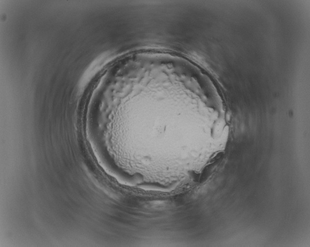 X0000077380151200611031945