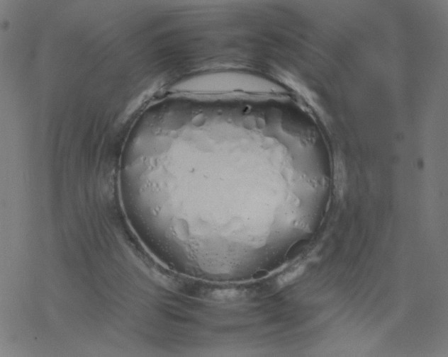 X0000077380153200611031945