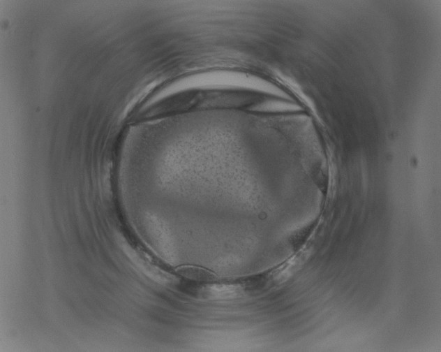 X0000077380154200611031945