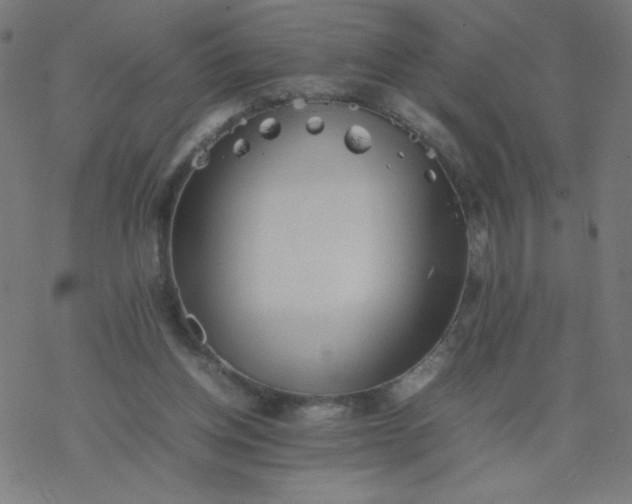 X0000077380158200611031945