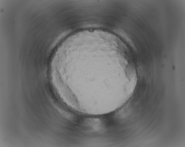 X0000077380159200611031945