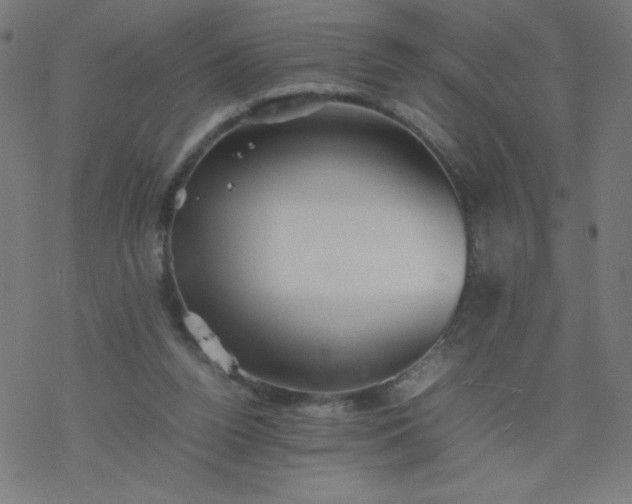 X0000077380160200611031945