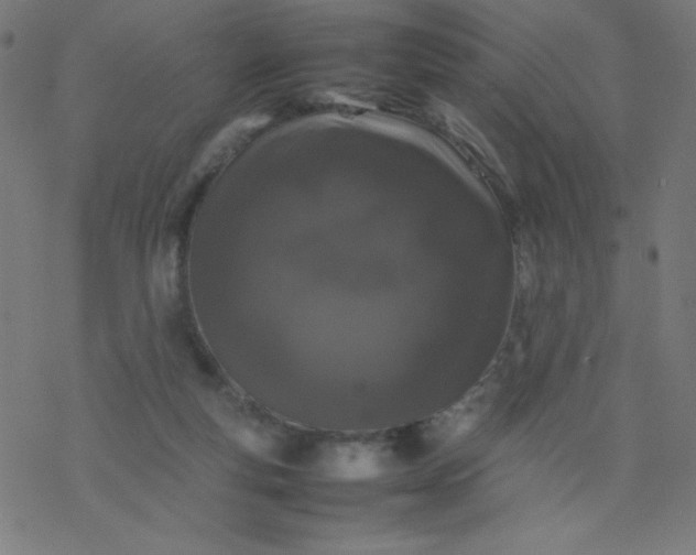 X0000077380163200611031945