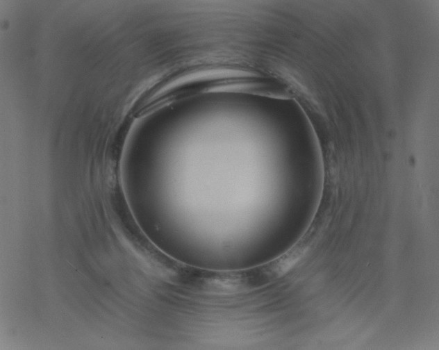 X0000077380164200611031945