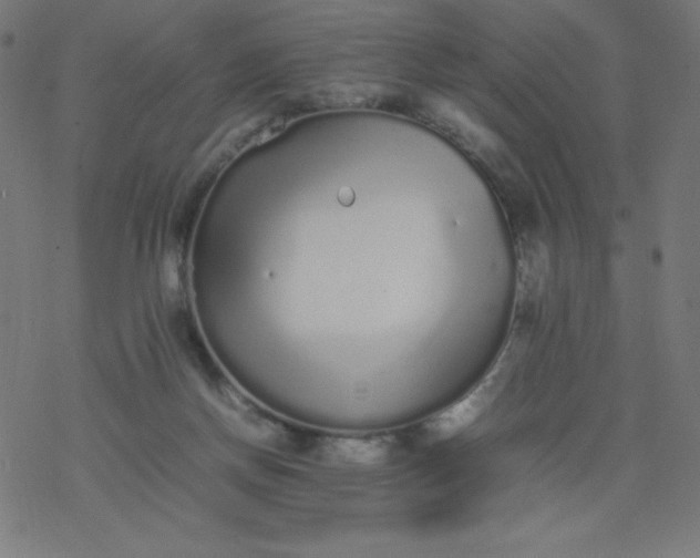 X0000077380166200611031945