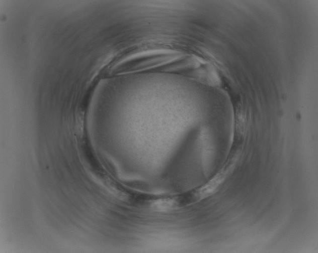 X0000077380168200611031945