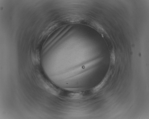 X0000077380170200611031945