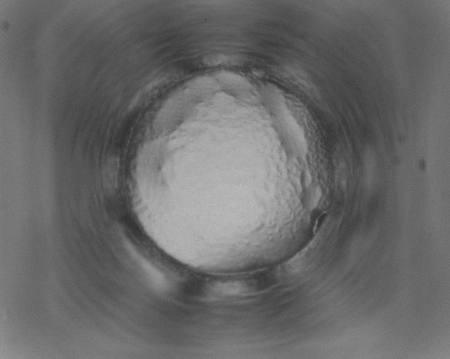 X0000077380171200611031945