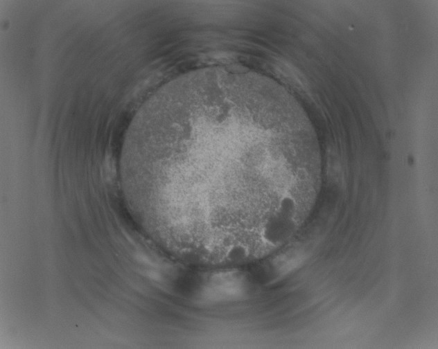 X0000077380173200611031945