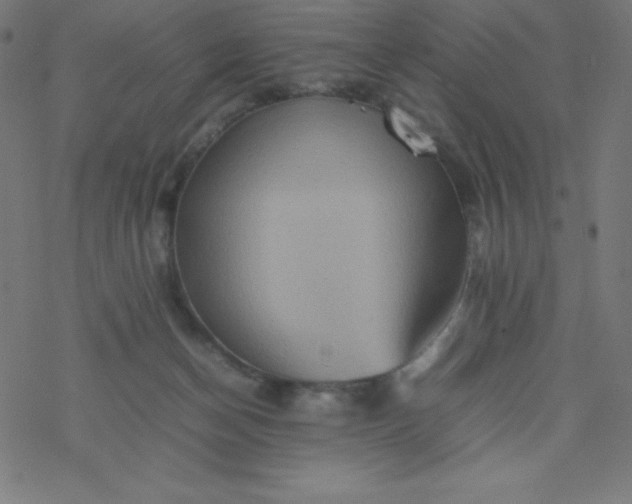 X0000077380174200611031945