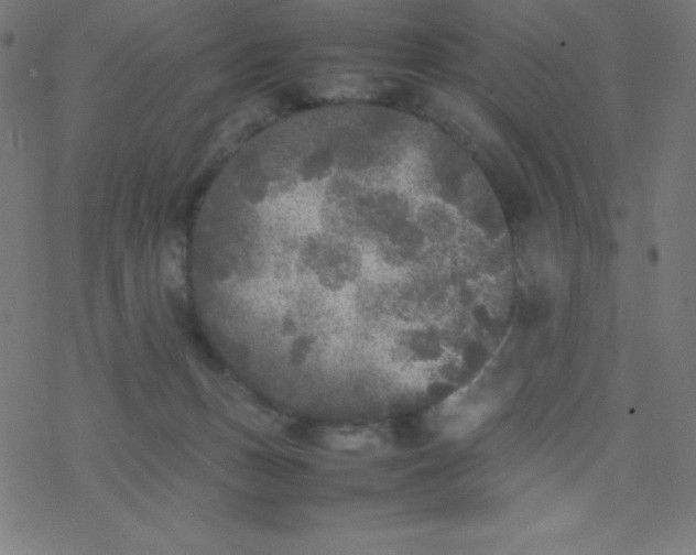 X0000077380175200611031945