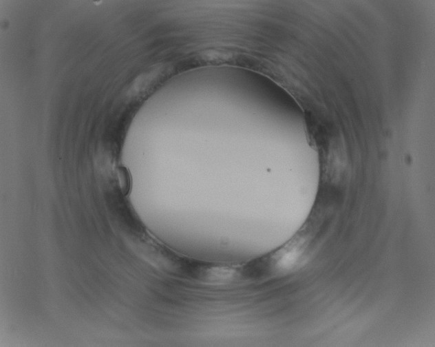 X0000077380176200611031945