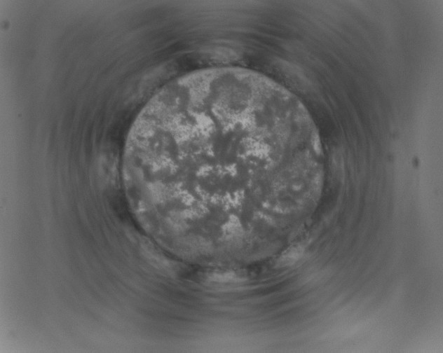 X0000077380177200611031945