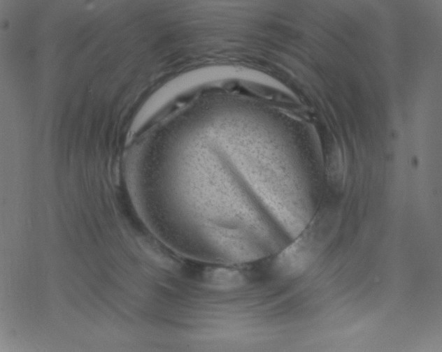 X0000077380180200611031945