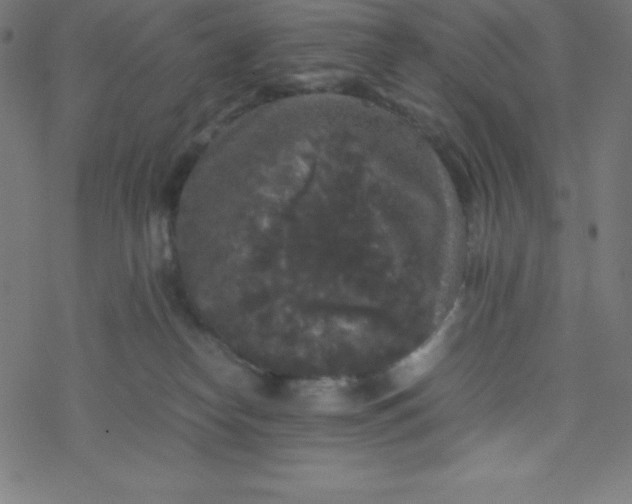 X0000077380182200611031945