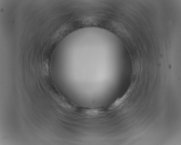 X0000077380183200611031945