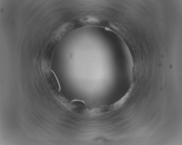 X0000077380186200611031945