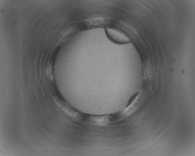 X0000077380187200611031946