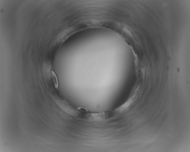 X0000077380188200611031946