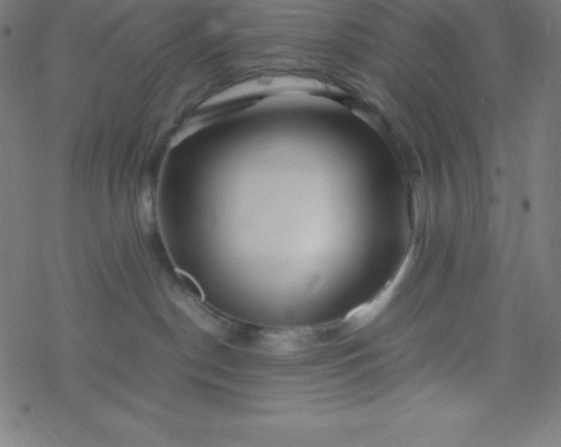 X0000077380190200611031946